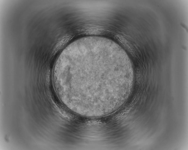 X0000097810586200804110953