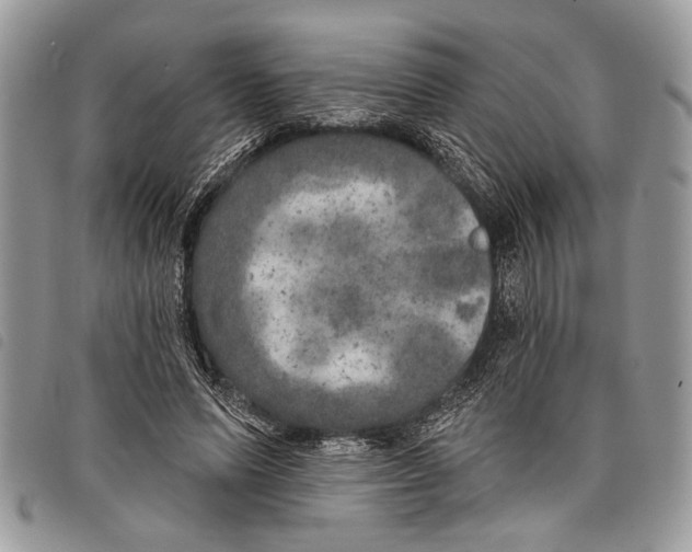 X0000097810591200804110953