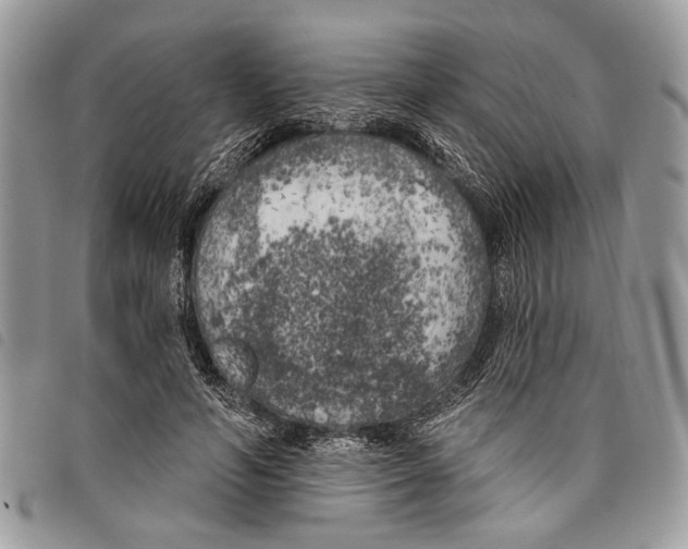 X0000097810594200804110953