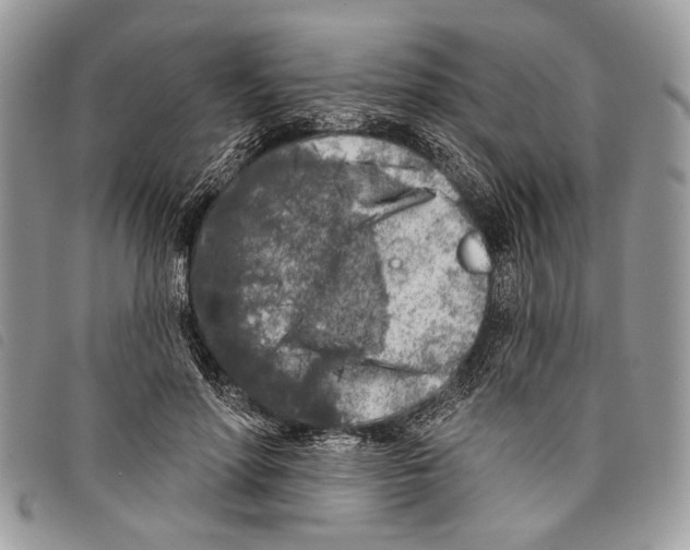 X0000097810598200804110953