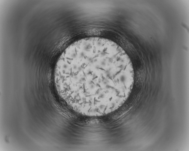 X0000097810600200804110953