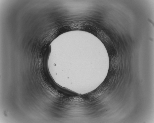 X0000097810601200804110953