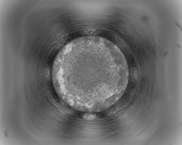 X0000097810602200804110953