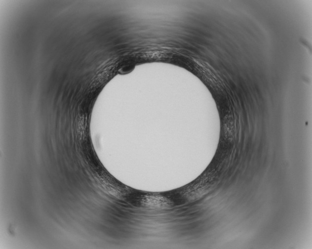 X0000097810605200804110952