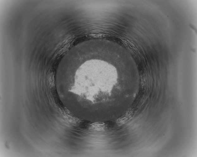 X0000097810606200804110952