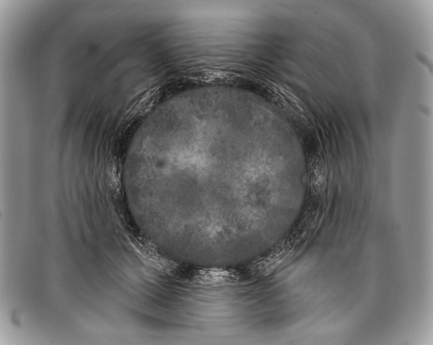 X0000097810607200804110952