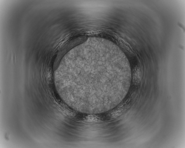 X0000097810608200804110952