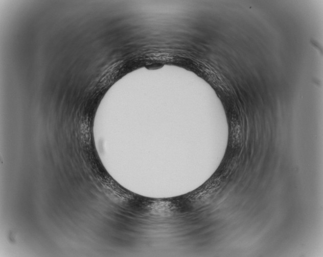 X0000097810609200804110952