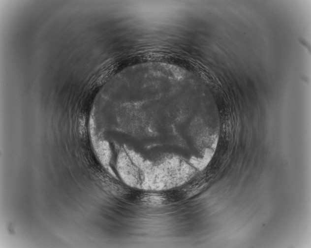 X0000097810610200804110952