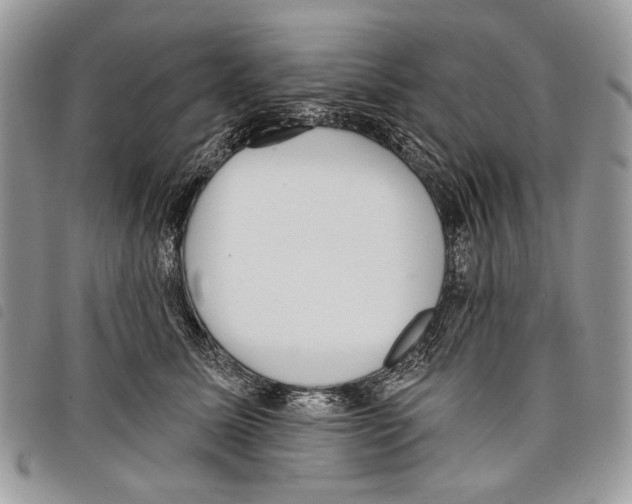 X0000097810611200804110952