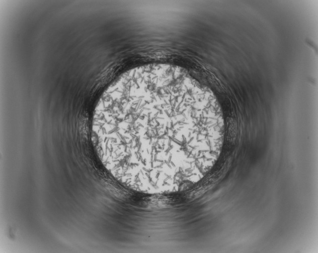 X0000097810612200804110952