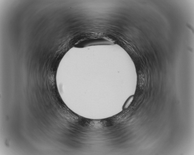 X0000097810613200804110952