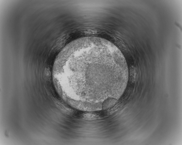 X0000097810614200804110952