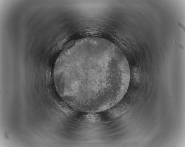 X0000097810615200804110952