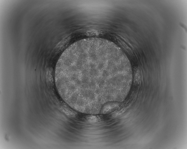 X0000097810616200804110952