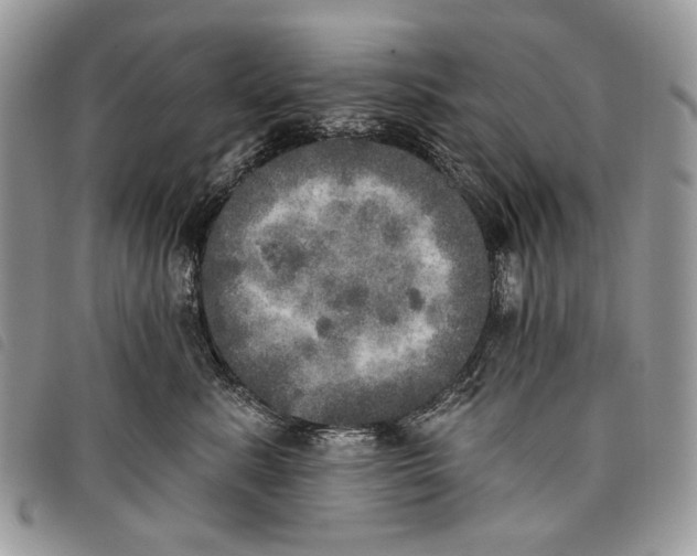 X0000097810619200804110952