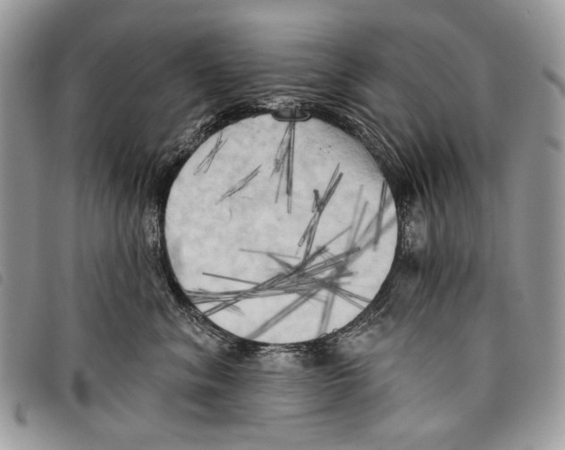 X0000097810620200804110952