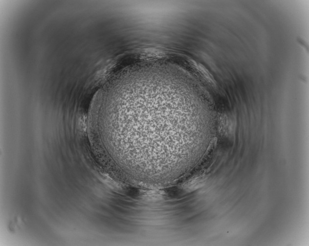 X0000097810621200804110952