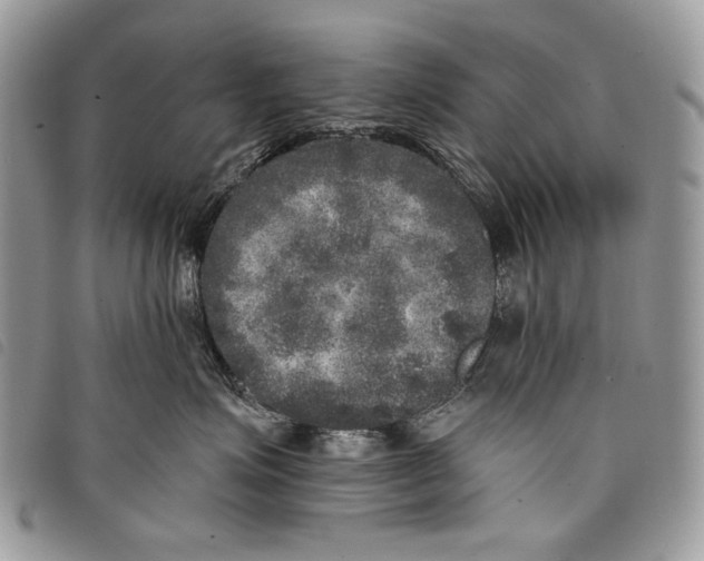 X0000097810623200804110952