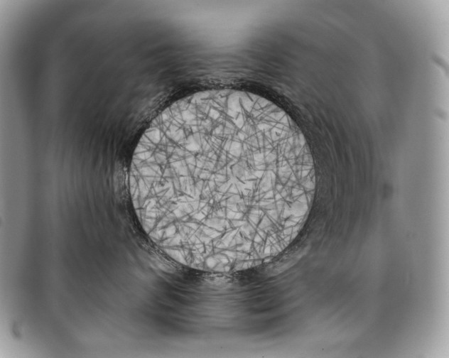 X0000097810624200804110952