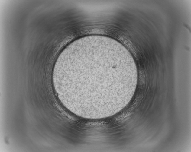 X0000097810625200804110951