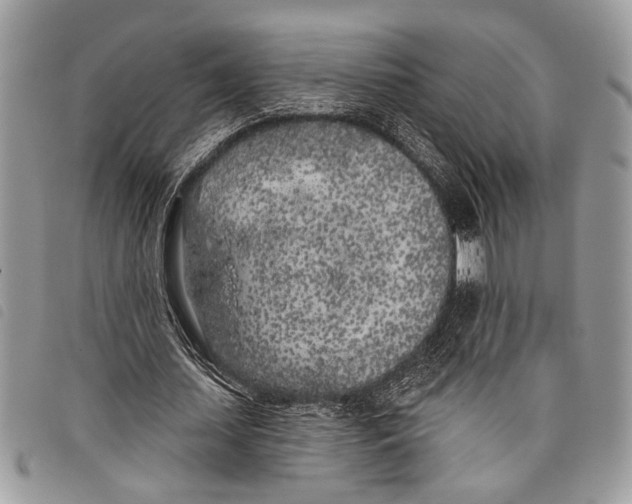 X0000097810627200804110951