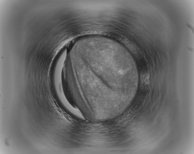 X0000097810628200804110951