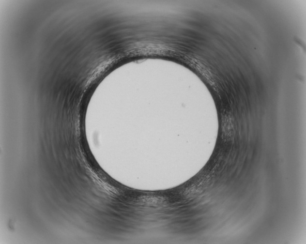 X0000097810629200804110951