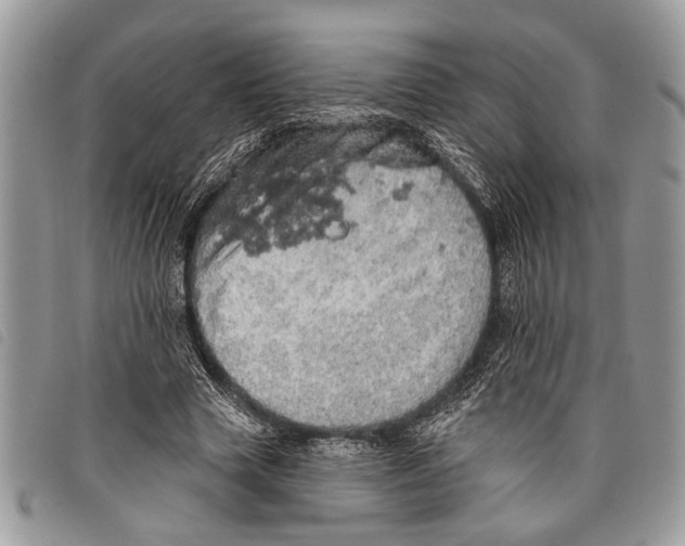 X0000097810633200804110951