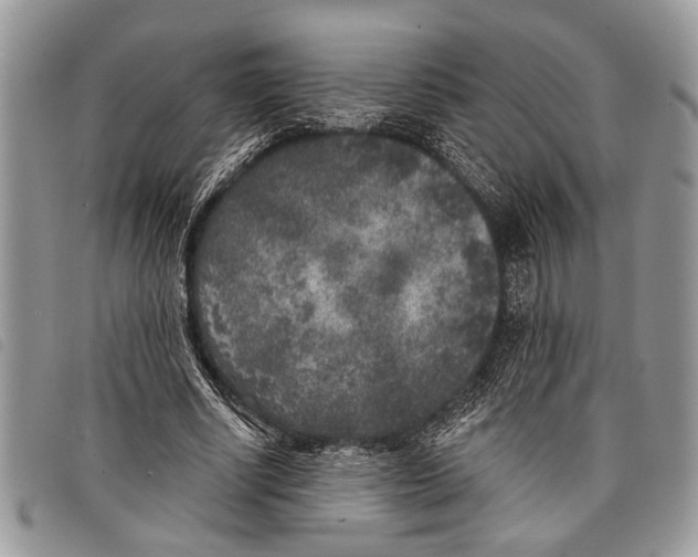 X0000097810634200804110952