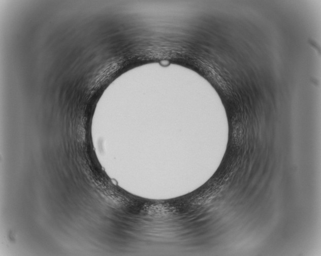 X0000097810635200804110952