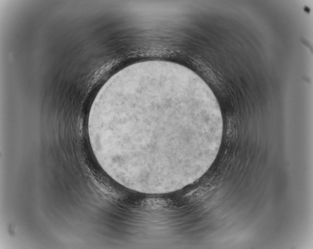 X0000097810636200804110952