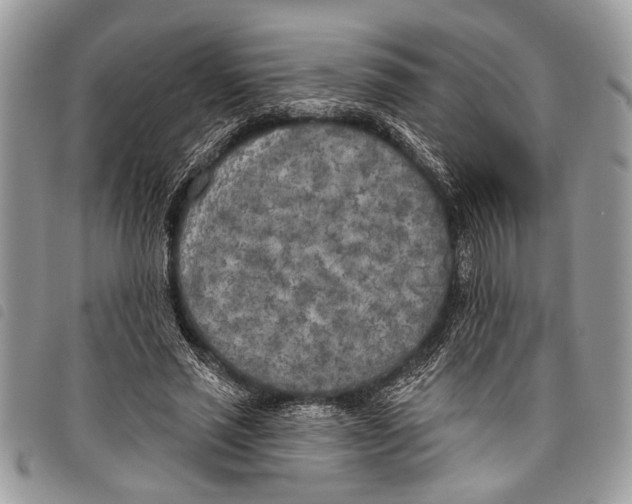 X0000097810637200804110952