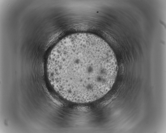 X0000097810638200804110952