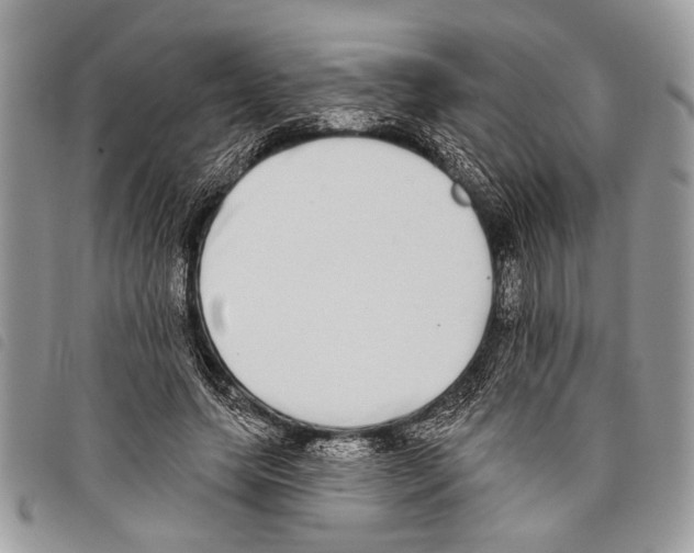 X0000097810639200804110952