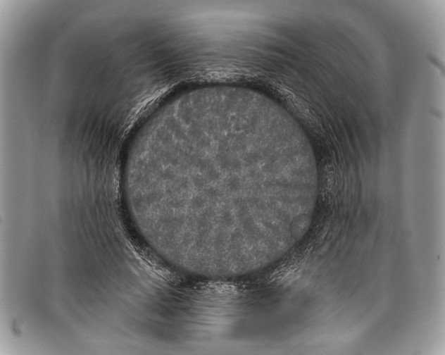 X0000097810640200804110952