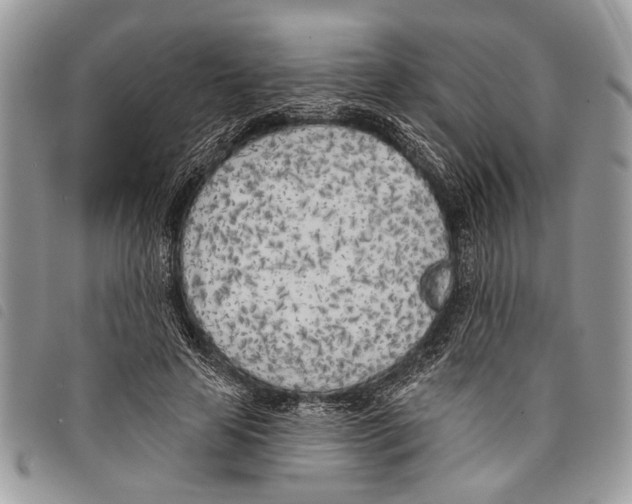 X0000097810641200804110952