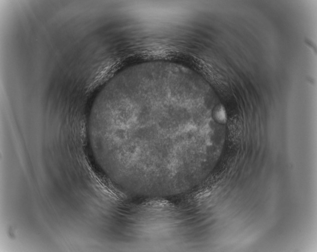 X0000097810642200804110952