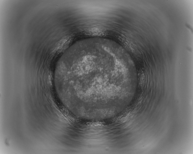 X0000097810643200804110952