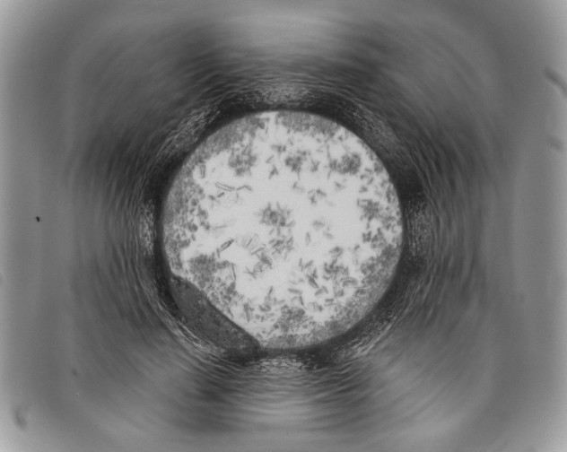 X0000097810644200804110952