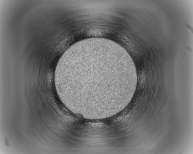 X0000097810645200804110952