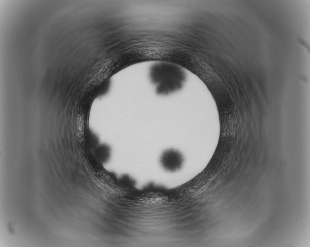 X0000097810646200804110952