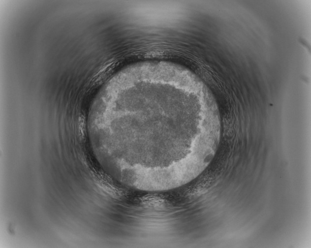 X0000097810648200804110952