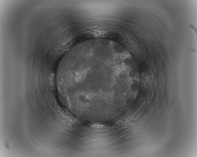 X0000097810650200804110952