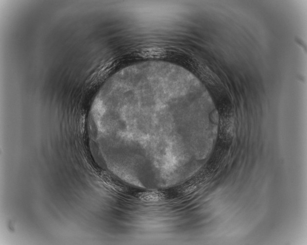 X0000097810652200804110952