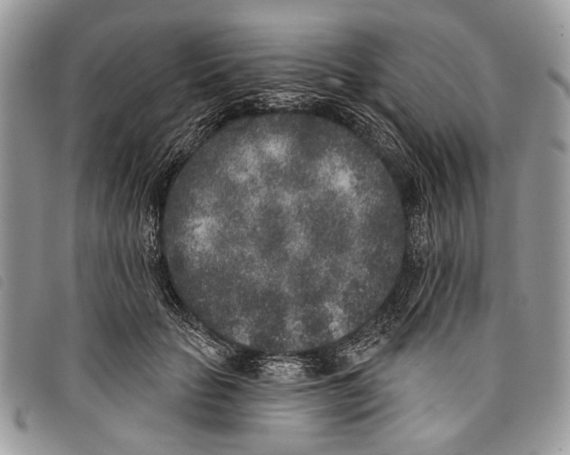 X0000097810653200804110952