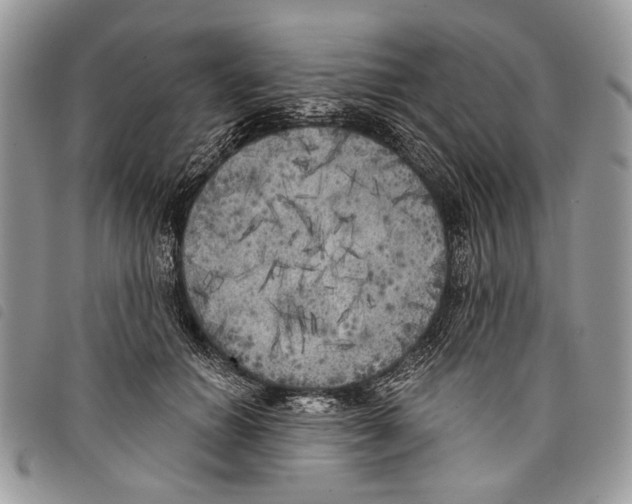 X0000097810654200804110952