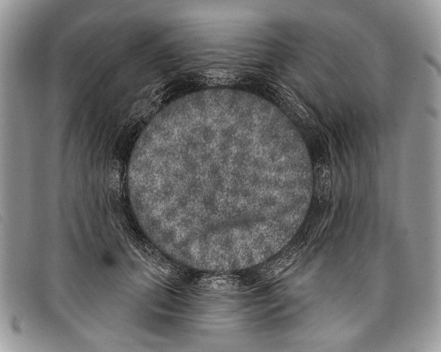 X0000097810655200804110952