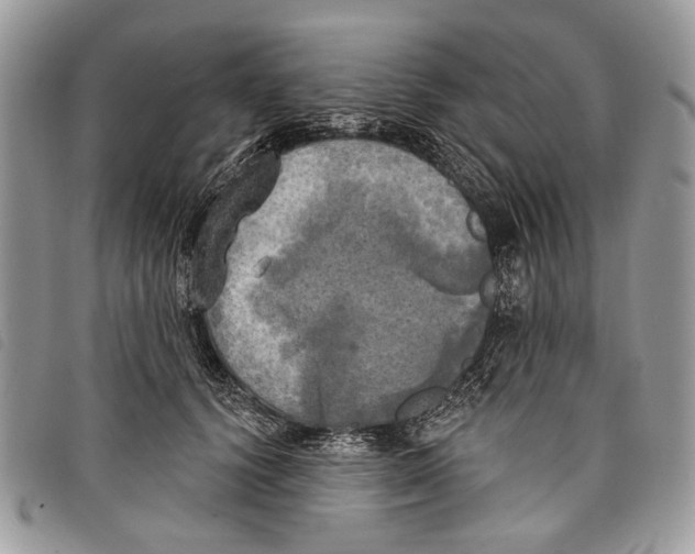 X0000097810656200804110952