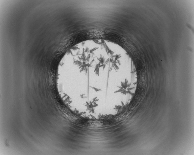 X0000097810658200804110952